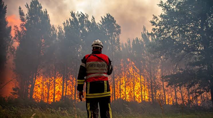 Firefighters battle a massive wildfire in Spain's Almeria region as smoke engulfs hills and nearby communities.